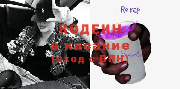 молекула духа Богданович