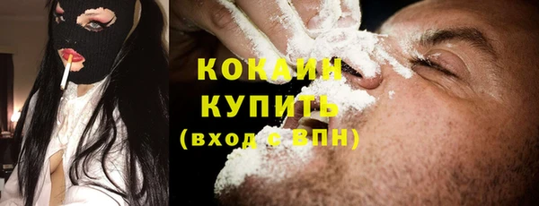 шишки Богородск