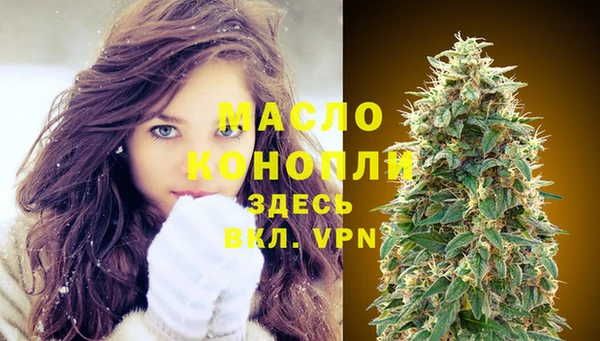 молекула духа Богданович