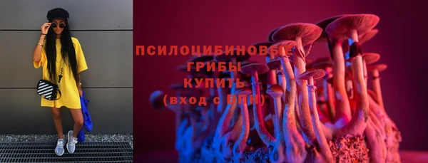 МДМА Богородицк