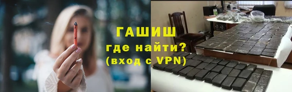 молекула духа Богданович