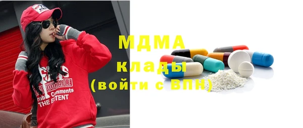 молекула духа Богданович