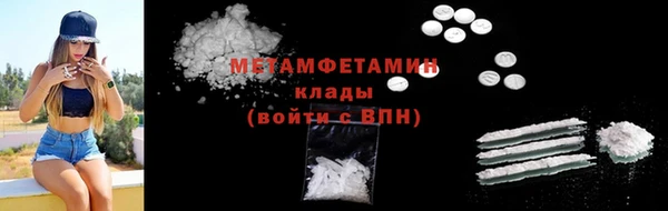 молекула духа Богданович