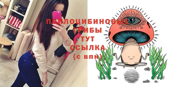 шишки Богородск