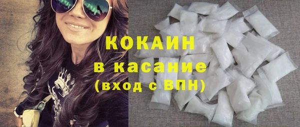 шишки Богородск