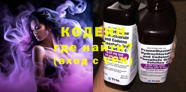 молекула духа Богданович