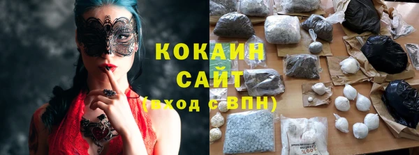 шишки Богородск